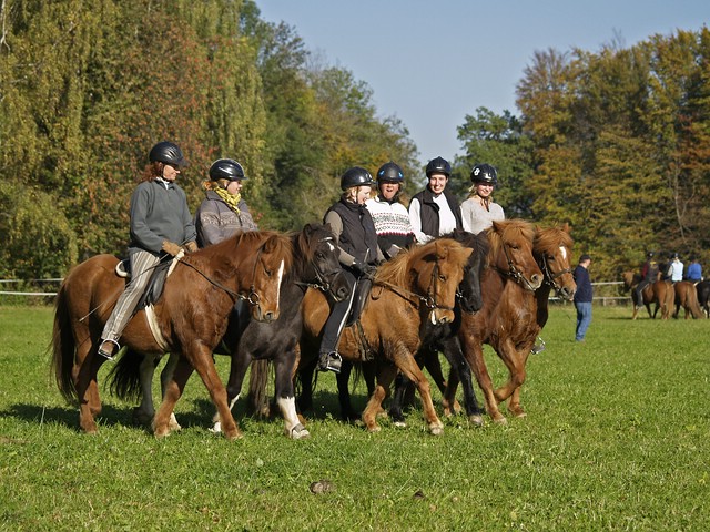 Herbstkurs_0001.jpg