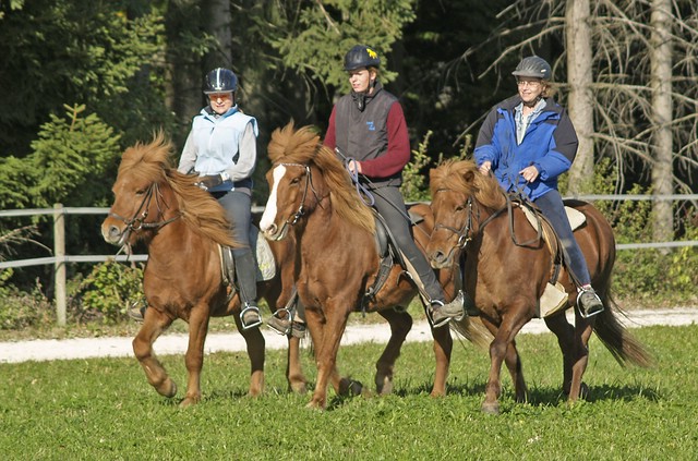 Herbstkurs_0004.jpg
