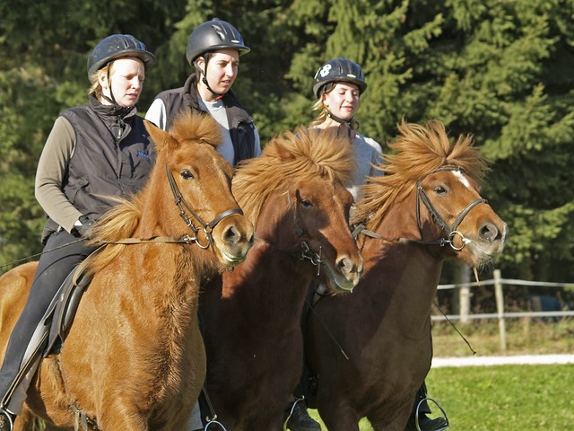 Herbstkurs_0009.jpg