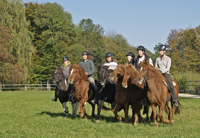 Herbstkurs_0010.jpg