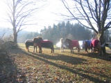 Img_2477.jpg