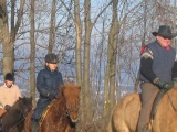 Img_2486.jpg